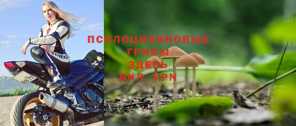 трава Наволоки