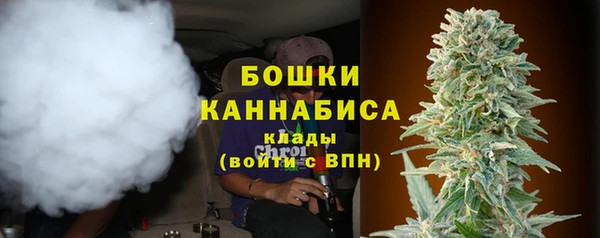 трава Наволоки